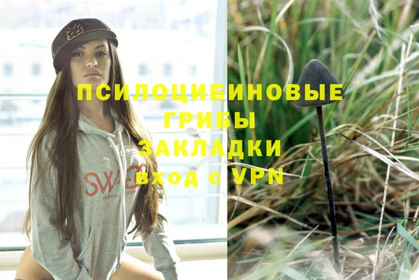 сатива Лиски