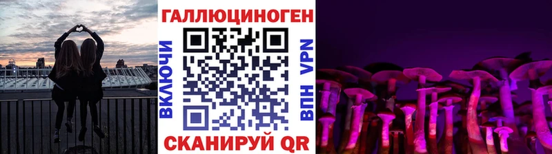 Псилоцибиновые грибы Psilocybe  купить наркотики цена  Афипский 